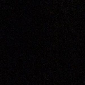 Meet your Posher, Daisy